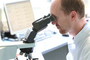 Mann mit Bart schaut durch Mikroskop im Institut für Mikrobiologie der Uniklinik Rostock