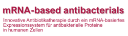 mRNA-based antibacterials