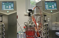 Laborgerät im Institut für Mikrobiologie der Uniklinik Rostock